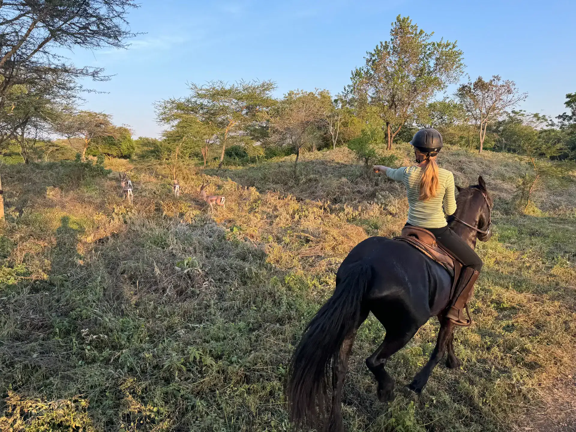 Paardensafari bij zonsondergang op Dolly Estate, aan de voet van Mount Meru