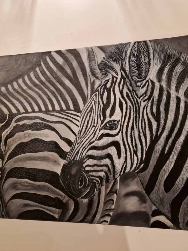 Black and white zebra artwork, detailed animal illustration for home decor.